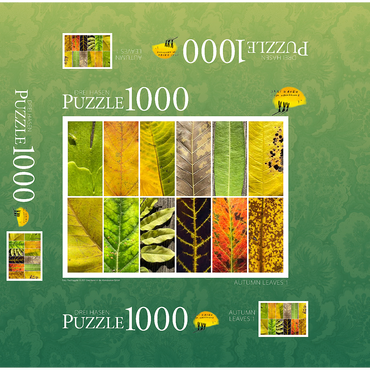 Autumn Leaves 1 1000 Jigsaw Puzzle box 3D Modell