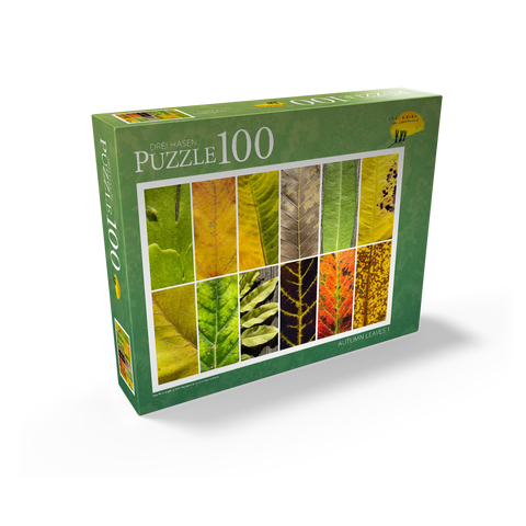 Autumn Leaves 1 100 Jigsaw Puzzle box view1