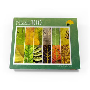 Autumn Leaves 1 100 Jigsaw Puzzle box view1