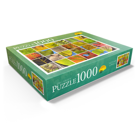 1000