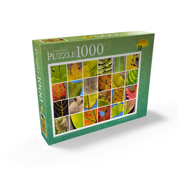 Autumn Leaves 2 1000 Jigsaw Puzzle box view1
