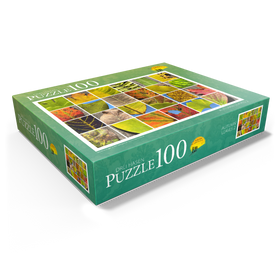 100