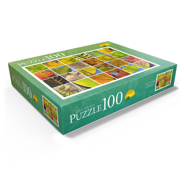 Autumn Leaves 2 100 Jigsaw Puzzle box view1