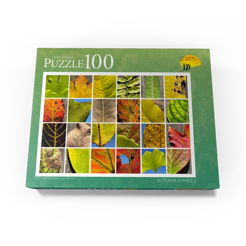 Autumn Leaves 2 100 Jigsaw Puzzle box view1