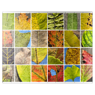 puzzleplate Autumn Leaves 2 100 Jigsaw Puzzle