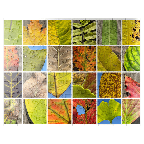 puzzleplate Autumn Leaves 2 100 Jigsaw Puzzle