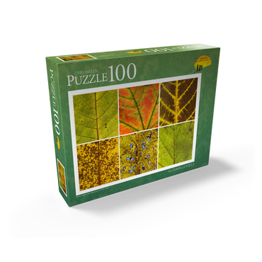 Autumn Leaves 3 100 Jigsaw Puzzle box view1
