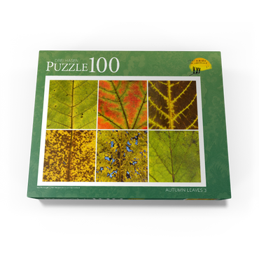Autumn Leaves 3 100 Jigsaw Puzzle box view1