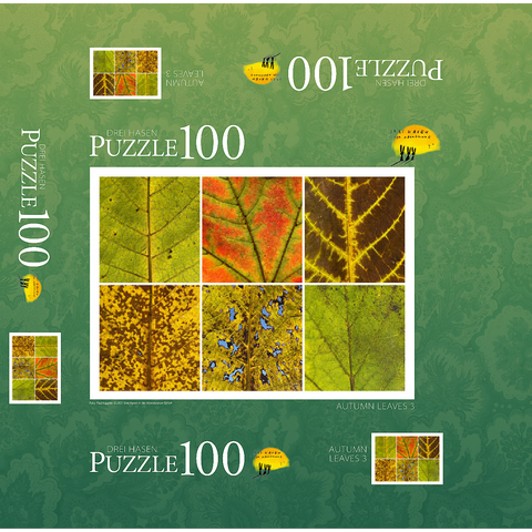 Autumn Leaves 3 100 Jigsaw Puzzle box 3D Modell