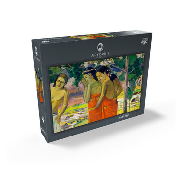 Three Tahitian Women 1896 by Paul Gauguin 100 Jigsaw Puzzle box view1
