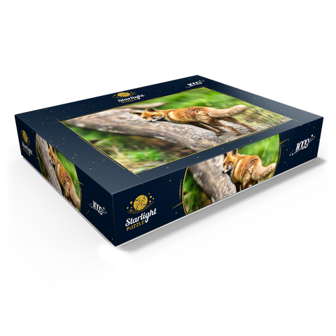 Red fox on the forest path 1000 Jigsaw Puzzle box view1
