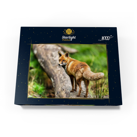 Red fox on the forest path 1000 Jigsaw Puzzle box view1