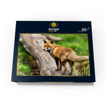 Red fox on the forest path 100 Jigsaw Puzzle box view1