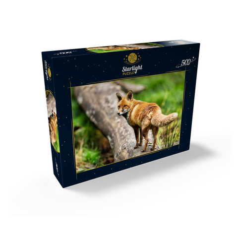 Red fox on the forest path 500 Jigsaw Puzzle box view1
