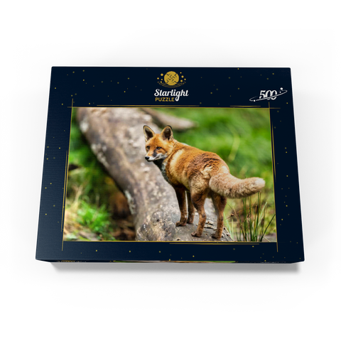 Red fox on the forest path 500 Jigsaw Puzzle box view1