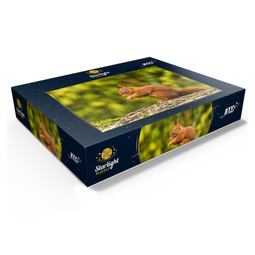 Eat red squirrel in forest 1000 Jigsaw Puzzle box view1