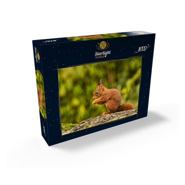 Eat red squirrel in forest 1000 Jigsaw Puzzle box view1
