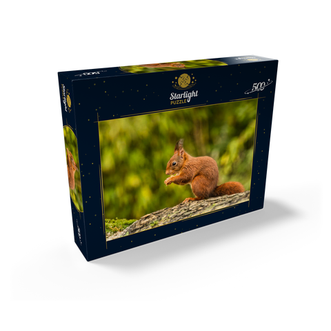 Red Squirrel Eating a Nut in the Forest 500 Jigsaw Puzzle box view1