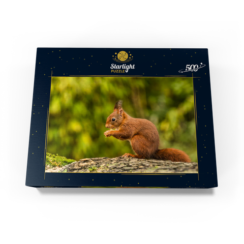 Red Squirrel Eating a Nut in the Forest 500 Jigsaw Puzzle box view1