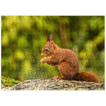 puzzleplate Red Squirrel Eating a Nut in the Forest 500 Jigsaw Puzzle