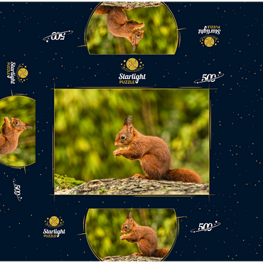 Red Squirrel Eating a Nut in the Forest 500 Jigsaw Puzzle box 3D Modell