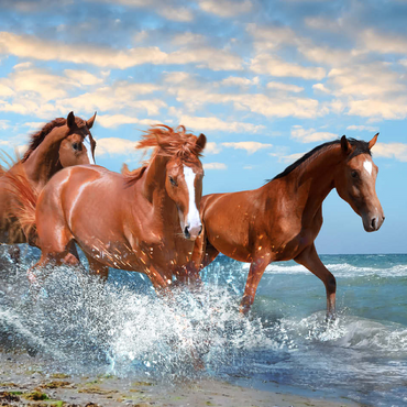 Beautiful Horses Running Through the Sea on a Beach 100 Jigsaw Puzzle 3D Modell