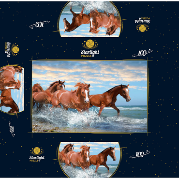 Beautiful Horses Running Through the Sea on a Beach 100 Jigsaw Puzzle box 3D Modell