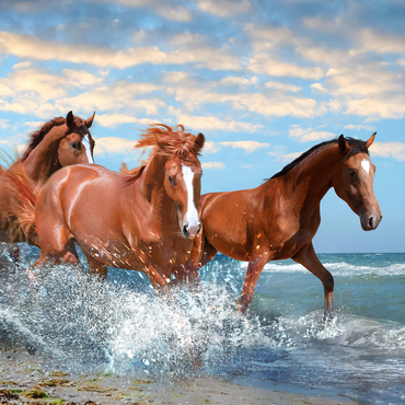 Beautiful Horses Running Through the Sea on a Beach 500 Jigsaw Puzzle 3D Modell