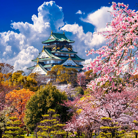 cherry blossoms and castle in Osaka, Japan 1000 Jigsaw Puzzle 3D Modell