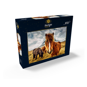 Horses in the mountains of Iceland 1000 Jigsaw Puzzle box view1