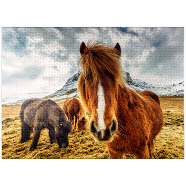 puzzleplate Horses in the mountains of Iceland 1000 Jigsaw Puzzle