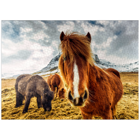 puzzleplate Horses in the mountains of Iceland 1000 Jigsaw Puzzle