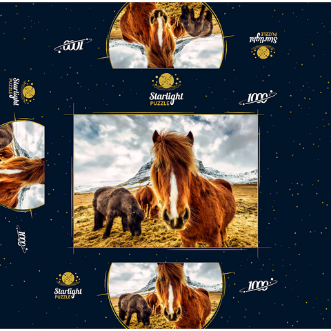 Horses in the mountains of Iceland 1000 Jigsaw Puzzle box 3D Modell