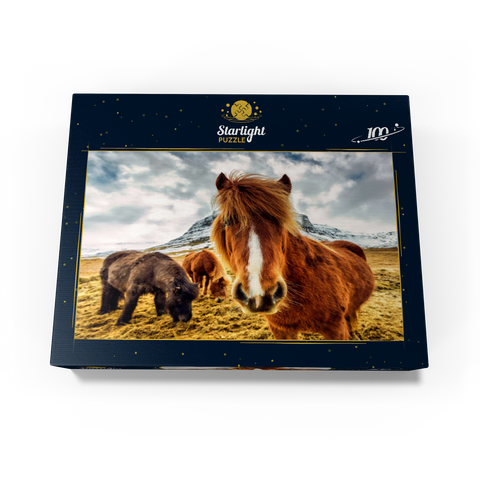 Horses in the Mountains of Iceland 100 Jigsaw Puzzle box view1