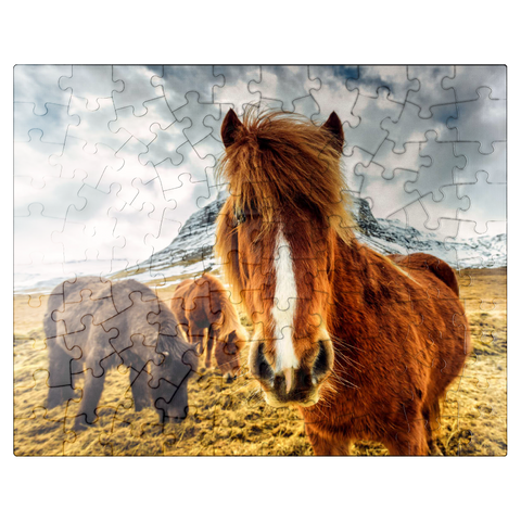 puzzleplate Horses in the Mountains of Iceland 100 Jigsaw Puzzle