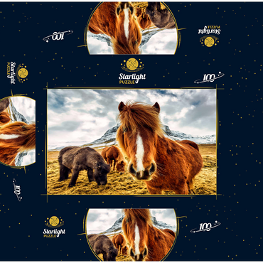 Horses in the Mountains of Iceland 100 Jigsaw Puzzle box 3D Modell