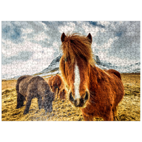 puzzleplate Horses in the Mountains of Iceland 500 Jigsaw Puzzle