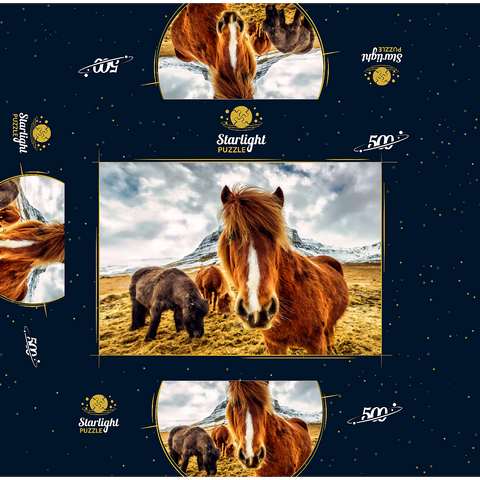 Horses in the Mountains of Iceland 500 Jigsaw Puzzle box 3D Modell