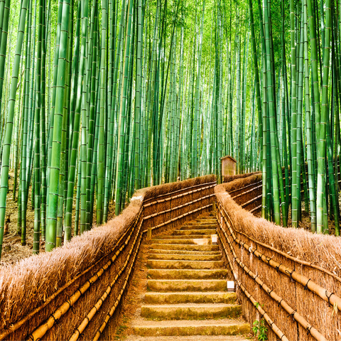 Kyoto, Japan in bamboo forest 1000 Jigsaw Puzzle 3D Modell