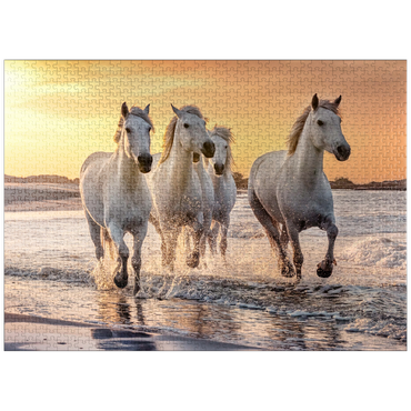 puzzleplate White Camargue horses galloping on beach, France 1000 Jigsaw Puzzle