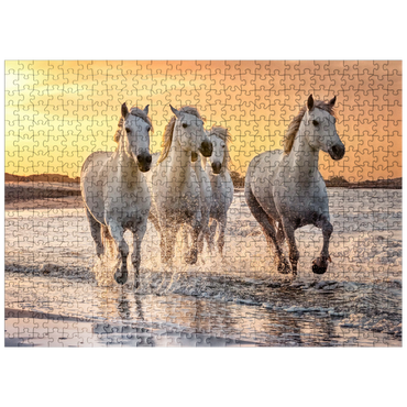 puzzleplate White Camargue Horses Galloping on a Beach in France 500 Jigsaw Puzzle