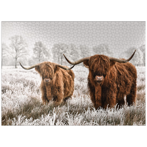 puzzleplate Hairy Scottish Highland cattle in a winter landscape 1000 Jigsaw Puzzle