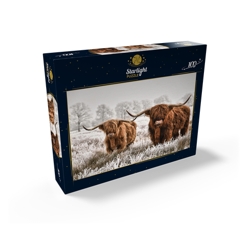 Hairy Scottish Highland cattle in a winter landscape 100 Jigsaw Puzzle box view1