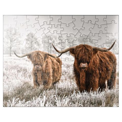 puzzleplate Hairy Scottish Highland cattle in a winter landscape 100 Jigsaw Puzzle