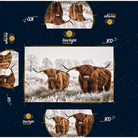 Hairy Scottish Highland cattle in a winter landscape 100 Jigsaw Puzzle box 3D Modell