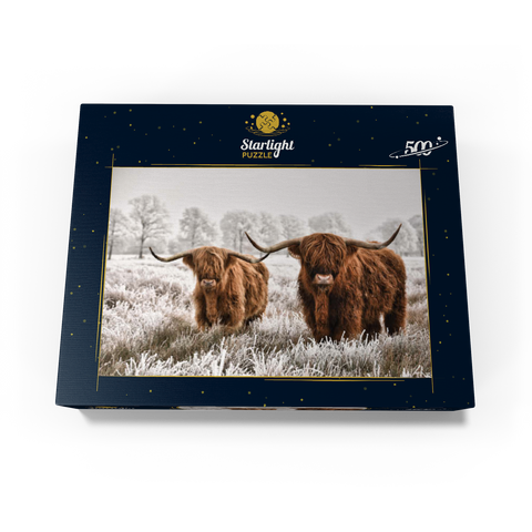 Hairy Scottish Highland cattle in a winter landscape 500 Jigsaw Puzzle box view1