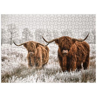 puzzleplate Hairy Scottish Highland cattle in a winter landscape 500 Jigsaw Puzzle