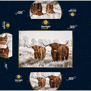 Hairy Scottish Highland cattle in a winter landscape 500 Jigsaw Puzzle box 3D Modell
