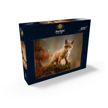 A young curious fox in the forest 1000 Jigsaw Puzzle box view1