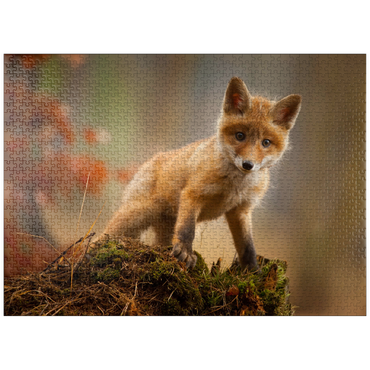 puzzleplate A young curious fox in the forest 1000 Jigsaw Puzzle